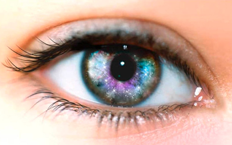 NOS LENTILLES
