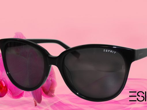 Collection Esprit